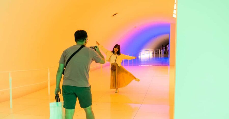 The Museum of Fine Arts, Houston Entry Ticket - Why This Tour Offers Great Value