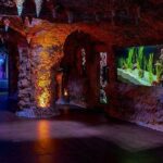 The National Aquarium Abu Dhabi Admission Tickets - What to Expect During Your Visit
