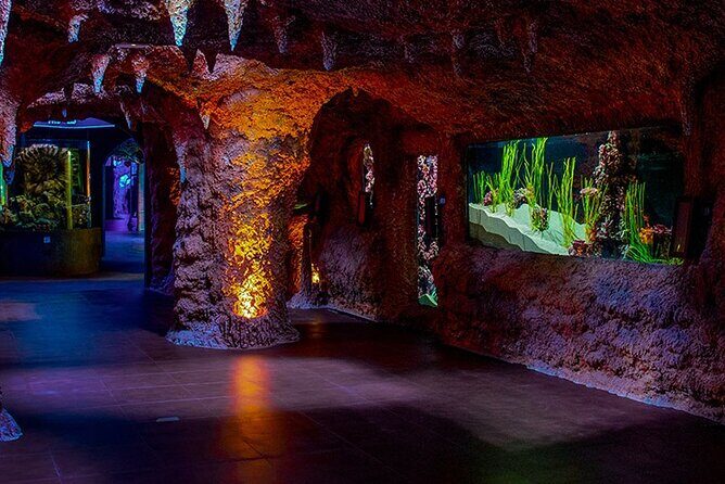 The National Aquarium Abu Dhabi Admission Tickets - What to Expect During Your Visit