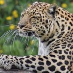 The Private Wildlife Tour - The Guide: Knowledgeable and Friendly