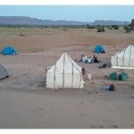The secret of the camel trekking desert - Key Points