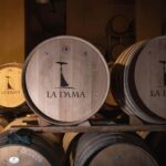 THE TRADITIONS OF VALPOLICELLA: WINE, EVO OIL, AND HONEY TASTING - Final Thoughts: Is It Worth It?