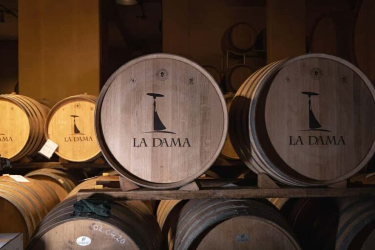 THE TRADITIONS OF VALPOLICELLA: WINE, EVO OIL, AND HONEY TASTING - Final Thoughts: Is It Worth It?