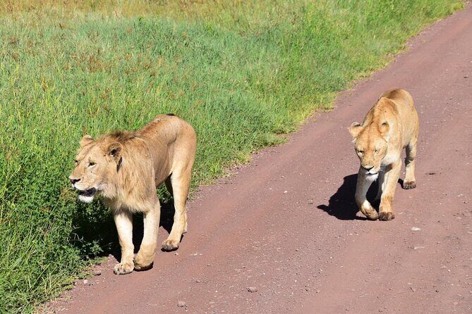 The World's Most Affordable 5-day Serengeti Budget Camping Safari - Inside the Experience – What Makes It Stand Out