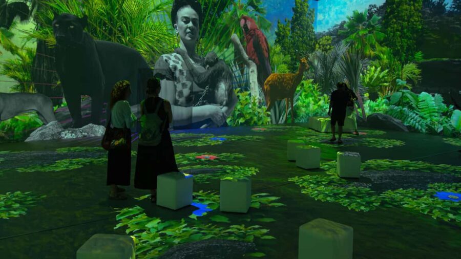Thessaloniki: Ticket for Frida Kahlo Beyond the Icon Immersive Experience - The Sum Up