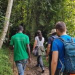 Three-day Nyungwe Canopy and Kivu Lake Adventure - Practical Details and What They Mean for You