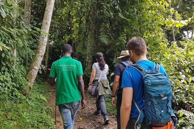 Three-day Nyungwe Canopy and Kivu Lake Adventure - Practical Details and What They Mean for You