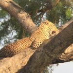 Three days escape to Queen Elizabeth National park - What’s Included & What’s Not