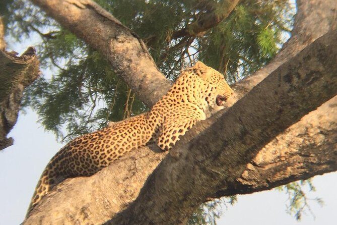 Three days escape to Queen Elizabeth National park - What’s Included & What’s Not