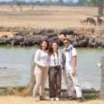 Three days Mikumi National Park, game drive and walking safari inside the park - A Closer Look at the 3-Day Mikumi Safari