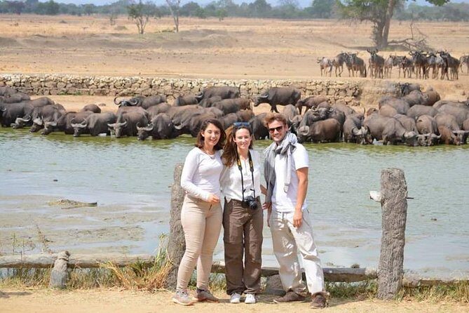 Three days Mikumi National Park, game drive and walking safari inside the park - A Closer Look at the 3-Day Mikumi Safari