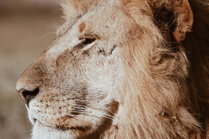 Three Days Ngorongoro crater, Lake Manyara and Taragire National Park (Joining) - Practical Details and Value Analysis