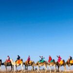 Three Valleys and Atlas Mountain & Waterfalls Tour from Marrakesh - What’s Included & Why It Matters