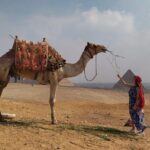 Thrilling Half-Day: Discover Pyramids, Sphinx, Camel Ride& Lunch! - The Authentic Camel Ride and Lunch Experience