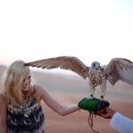 Thrilling Morning Red Dune Desert Safari with Camel Ride in Dubai - An In-Depth Look at the Red Dune Safari Experience