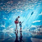 Ticket to Atlantis Aquaventure Waterpark & Combo - Who Will Love This Experience?