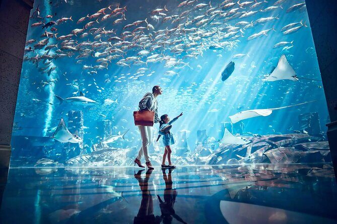 Ticket to Atlantis Aquaventure Waterpark & Combo - Who Will Love This Experience?