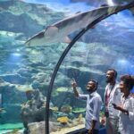 Ticket to the largest Oceanarium of the Mascarene Islands - The Journey Through the Exhibits
