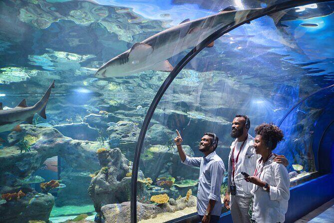 Ticket to the largest Oceanarium of the Mascarene Islands - The Journey Through the Exhibits