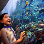 Tickets to Atlantis Lost Chambers Aquarium - The Sum Up