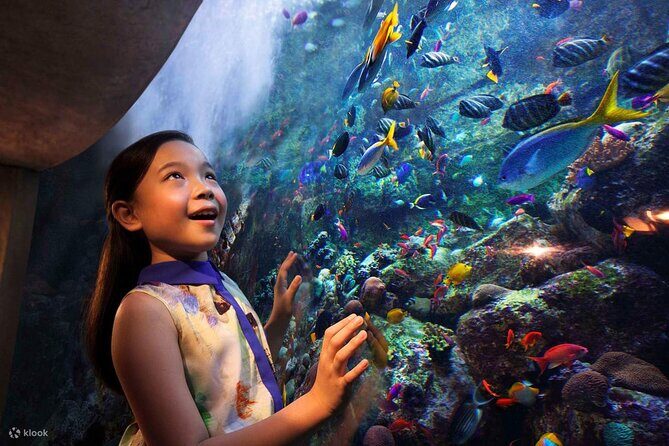 Tickets to Atlantis Lost Chambers Aquarium - The Sum Up