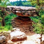 Time with Nature - Who Will Love This Tour?