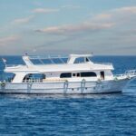 Tiran Island Boat Trip with Snorkeling 2 stop at Sharm El Sheikh - Who Is This Tour Best For?