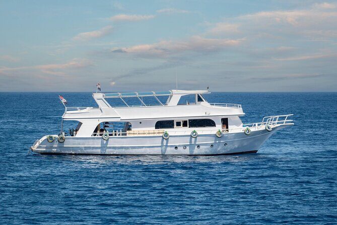 Tiran Island Boat Trip with Snorkeling 2 stop at Sharm El Sheikh - Who Is This Tour Best For?