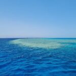 Tiran Island Full Day Boat Trip With Lunch from Sharm El Sheikh - What’s Included and What’s Not
