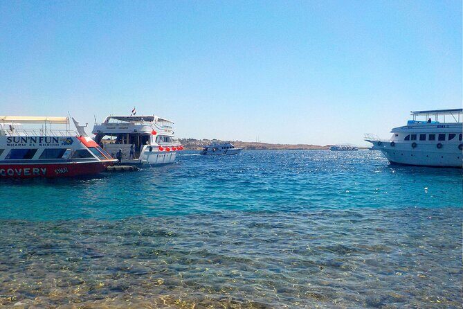 Tiran Island Full Day Snorkeling Sea trip, Lunch With Transfer - Sharm El Sheikh - Authentic Insights from Reviewers