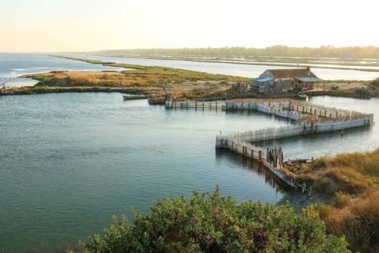 Tirana/Durres/Golem: Karavasta Lagoon Day Tour with Boat - What’s Included and What’s Not