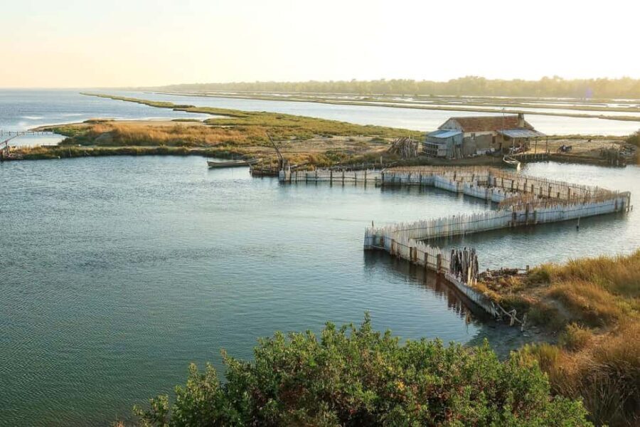 Tirana/Durres/Golem: Karavasta Lagoon Day Tour with Boat - What’s Included and What’s Not