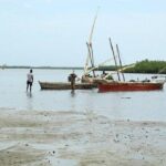 Tongoni Historical Ruins-From Tanga City (Oldest Fishing Village) - The Sum Up