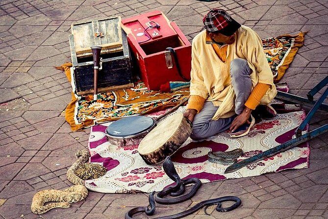 Top Activities : Half day guided walking tour in Marrakech with official guide - FAQ