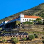 Top Douro from Porto: walk + visit + wine tasting + picnic - What Makes This Tour Special?