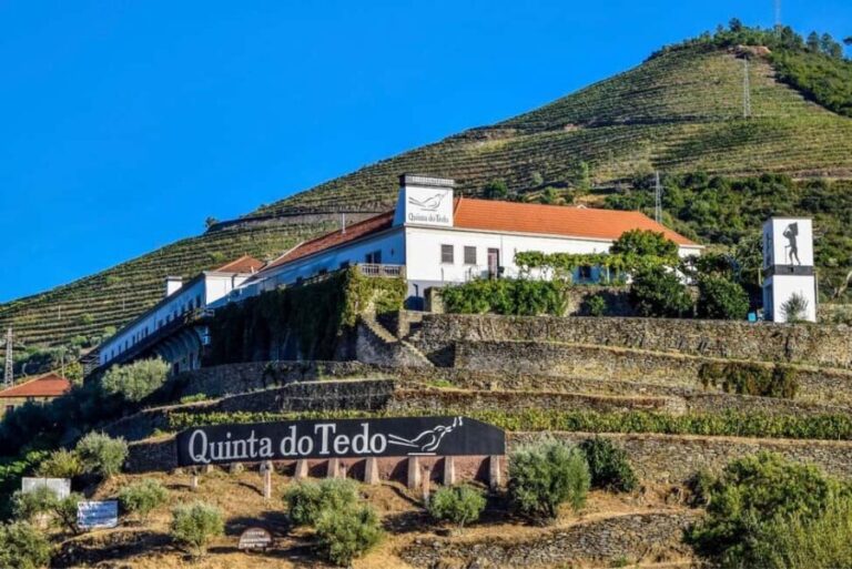 Top Douro from Porto: walk + visit + wine tasting + picnic - What Makes This Tour Special?