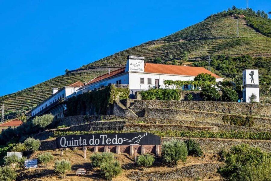 Top Douro from Porto: walk + visit + wine tasting + picnic - What Makes This Tour Special?