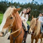 Top Packages Activities Discover Agadir and Morroco ® - Transportation and Group Size