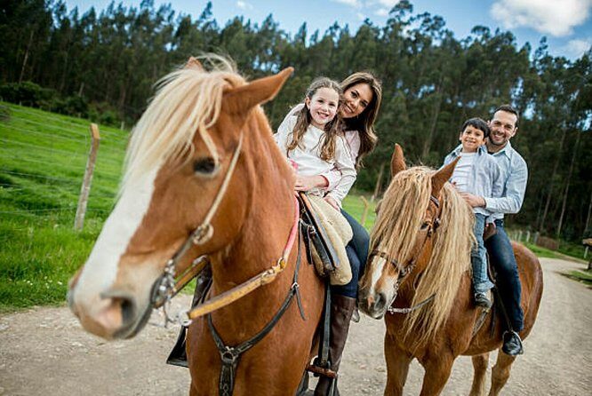 Top Packages Activities Discover Agadir and Morroco ® - Transportation and Group Size
