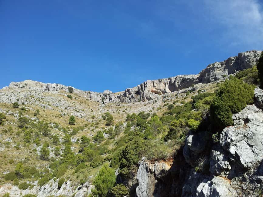 Torremolinos-Benalmádena: Jeep EcoTour - Authentic Andalusia - Practical Details and Value