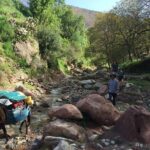 Toubkal ascent in two days, private trip - Itinerary Breakdown: What to Expect Each Day