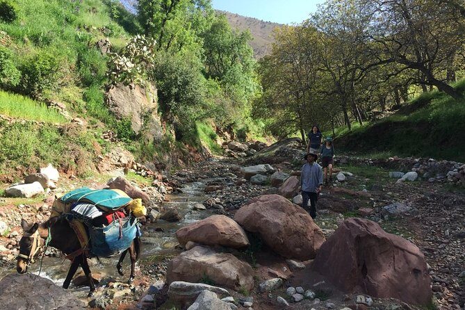 Toubkal ascent in two days, private trip - Itinerary Breakdown: What to Expect Each Day