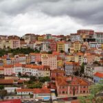 Tour from Lisbon: Aveiro, Coimbra, Conímbriga, and the Palace of Bussaco - A Well-Rounded Day Trip from Lisbon