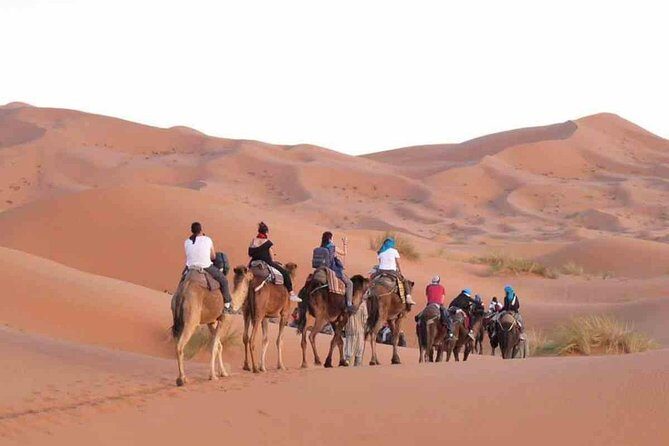 Tour from Marrakech to Fes 3 Days - Authentic Experiences and Highlights