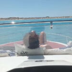 Tour: "Ibiza-Formentera" from the sea in a private boat - The Value of a Private Boat Experience