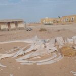 Tour in Mauritania - Transportation & Group Size