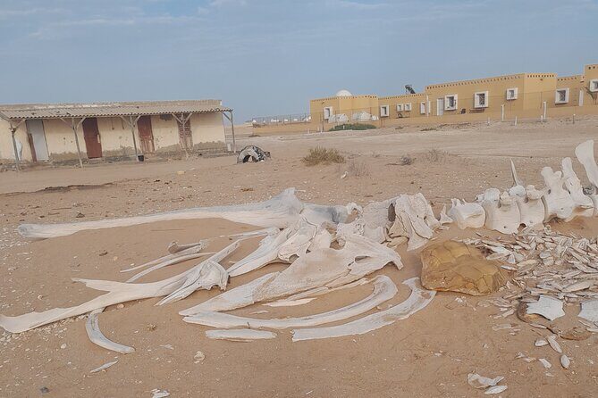 Tour in Mauritania - Transportation & Group Size