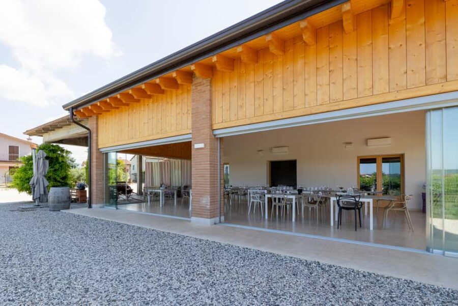 Tour in Valpolicella: wine, oil, and peach tasting - The Sum Up