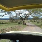 Tour Nairobi National Park - Why This Tour Offers Good Value