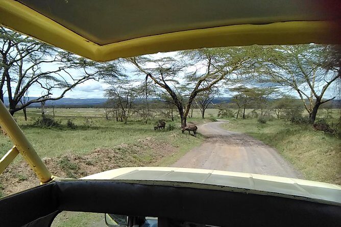 Tour Nairobi National Park - Why This Tour Offers Good Value